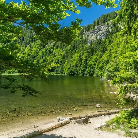 Schwarzwaldstern, Todtnau, 3 Schlafzimmer *