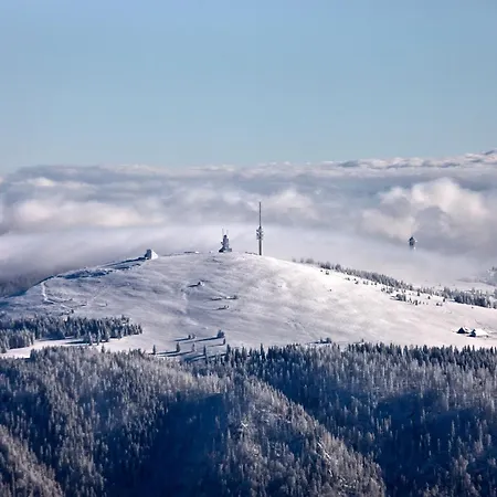 Сasa de vacaciones Schwarzwaldstern, Todtnau, 3 Schlafzimmer *