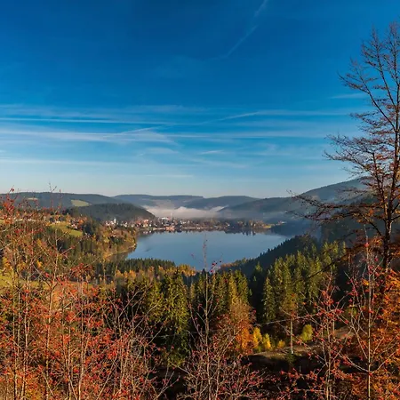 Schwarzwaldstern, Todtnau, 3 Schlafzimmer Сasa de vacaciones Todtnau